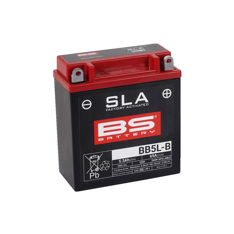 Batteria Bs Sla BB5L-B Batterie al Piombo BS-Battery