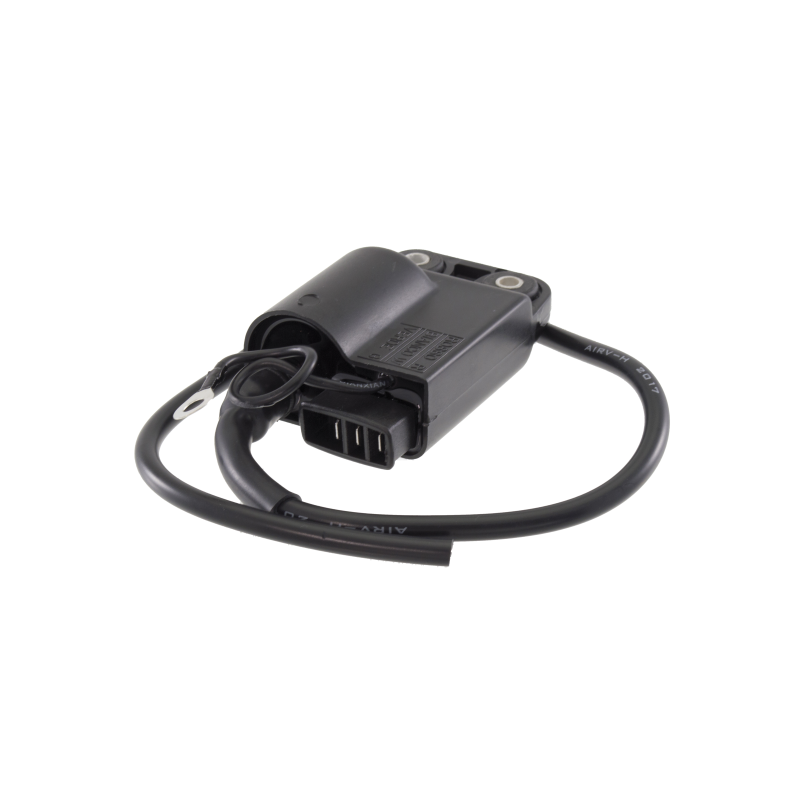  Electronic Unit Piaggio Zip/Sfera/Vespa Et2/Gilera Stalker 50cc Control Units (ECUs) RMS