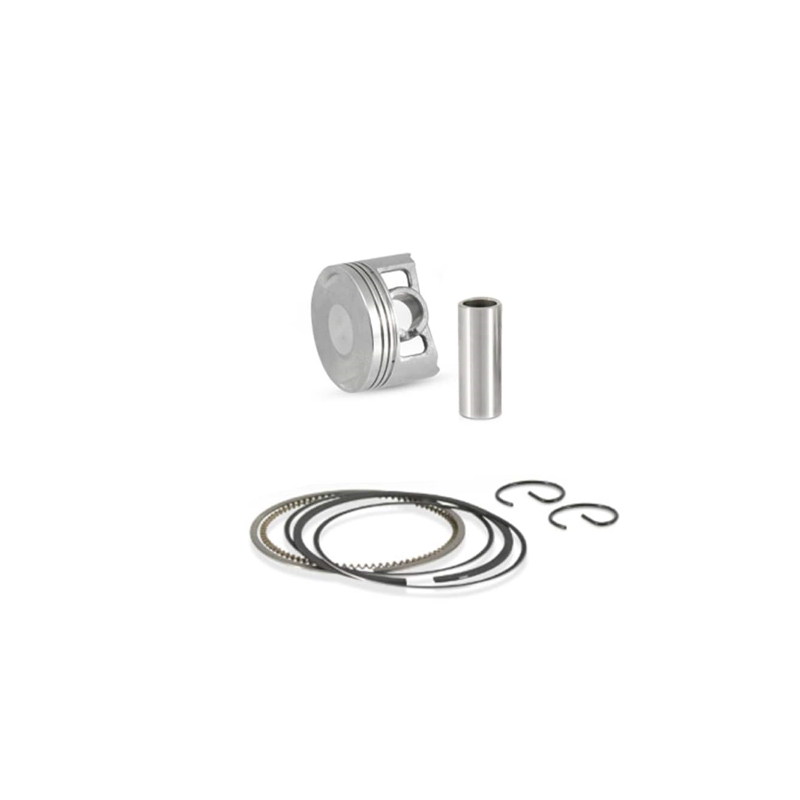 Pistone Goetze Honda Sh 300i 2007/2019 72,25mm Pistoni GOETZE