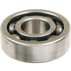 Ball Bearing Ntn 20x47x14 6204-C4 Bearings Ntn
