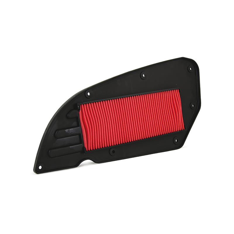 Filtro Aria Champion CAF4013 Luftfilter Champion