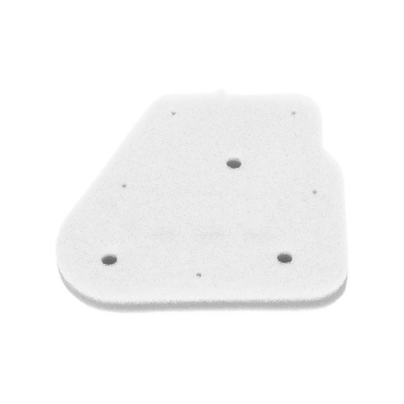 Champion Air Filter CAF3001DS Air Filters Champion