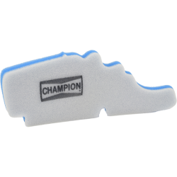 Champion Air Filter CAF4202DS Air Filters Champion