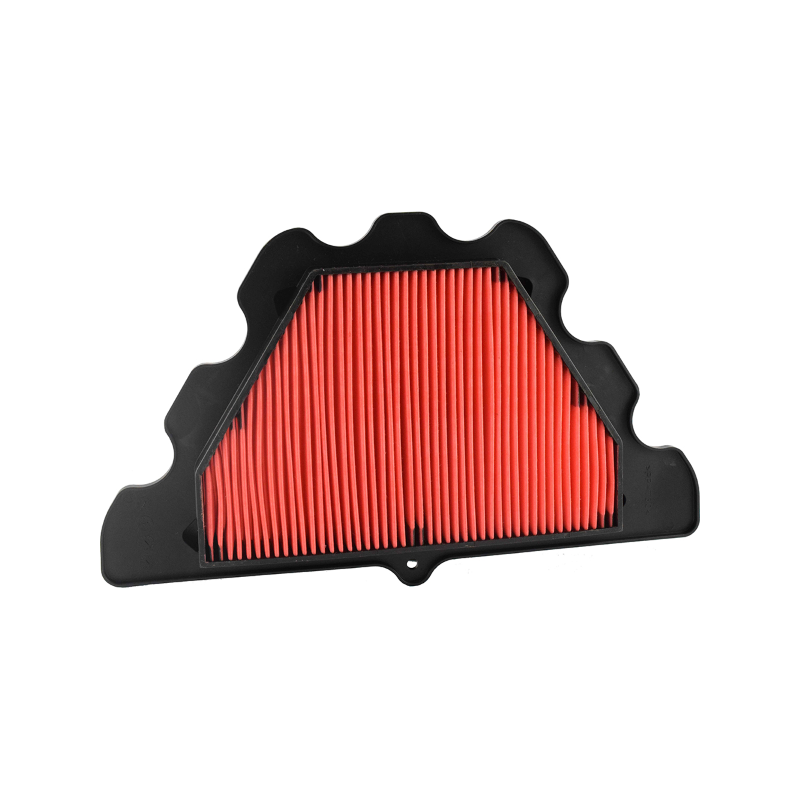 Filtro Aria Champion CAF1924 Filtros de aire Champion