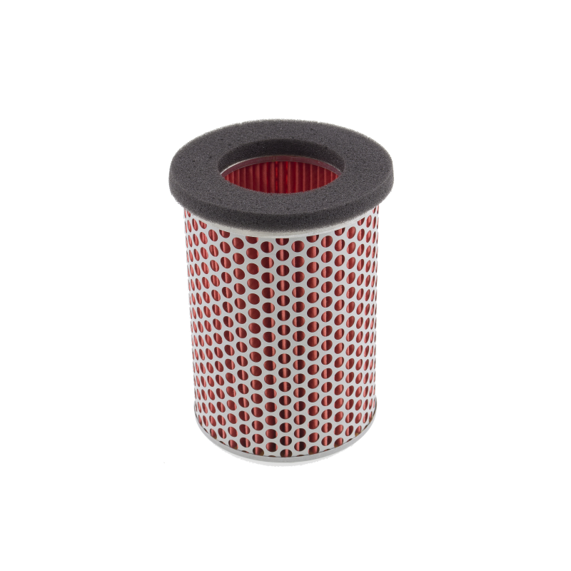 Champion Air Filter V313/301 Air Filters Champion