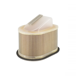 Champion Air Filter CAF1802 Air Filters Champion