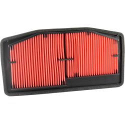 Filtro Aria Champion CAF5506 Filtri Aria Champion