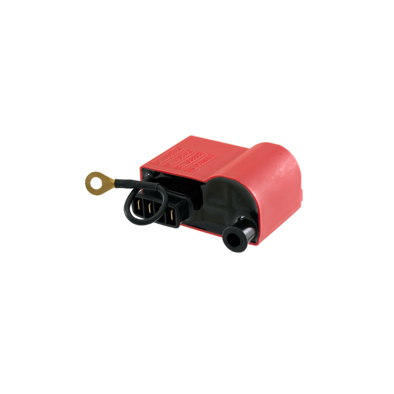 Centralina Classic Piaggio Ape Tm P703 Fl2 220cc 1984/2005 2441295 Centraline Rms Classic