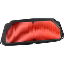 Filtro Aria Champion CAF0623 Filtri Aria Champion