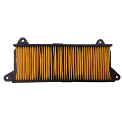 Champion Air Filter CAF0117 Air Filters Champion