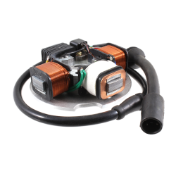  Classic Stator Piaggio Vespa Pk Senza Frecce S.Avv. 199491-19948 Switches Rms Classic