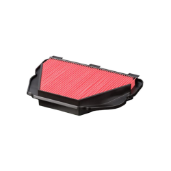 Filtro Aria Champion CAF3924 Luftfilter Champion