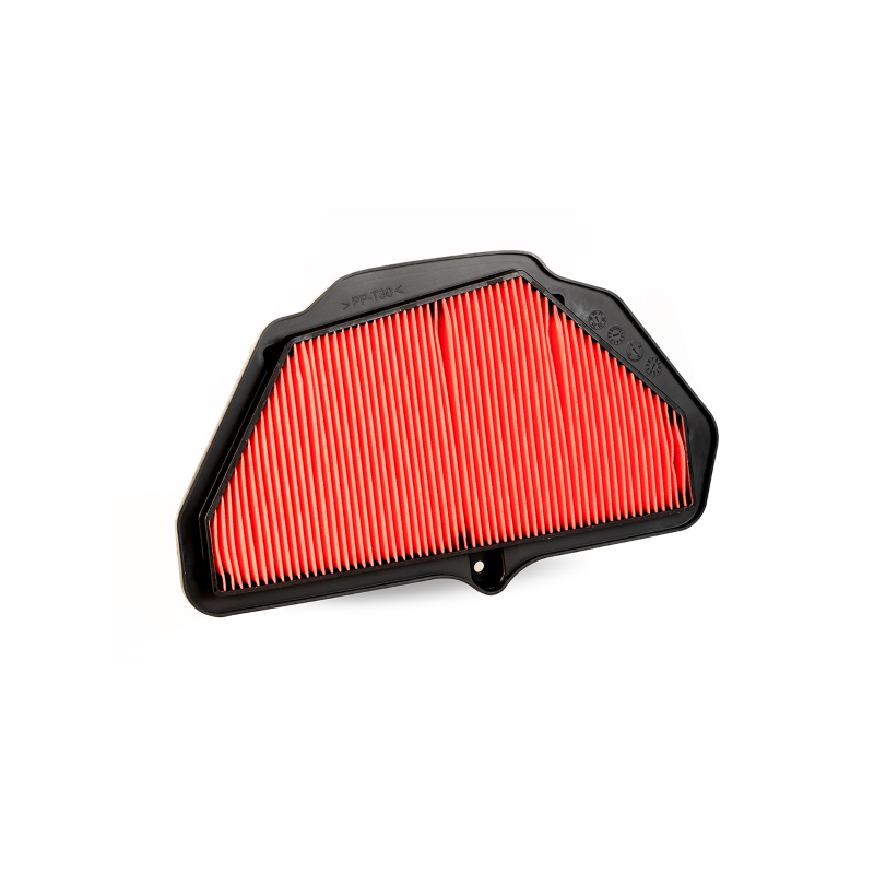 Filtro Aria Champion CAF1925 Filtros de aire Champion