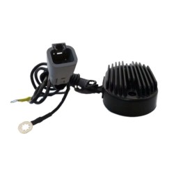 Regulator H.D. Softail/Fat BOY01-06 Black for HARLEY DAVIDSON 50 Softail/ Fat Boy/ Heritage Springer Classic/ Night Train/ Springer Softail 01-06 Regulators ARROWHEAD