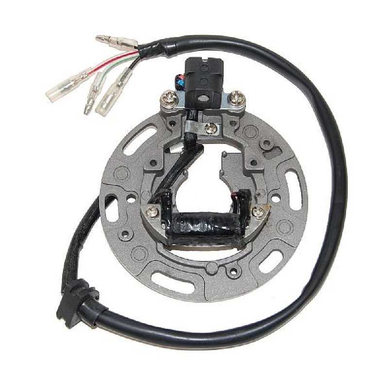 Statore Kawasaki Kx 80 96-97 per KAWASAKI KX80 96-97 Statori ELECTROSPORT