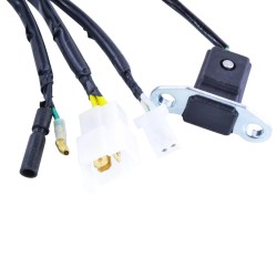 Stator Hondacmx 250 Rebel 96-97 for HONDA CMX 250 96-16 Stators MAGNETI MARELLI