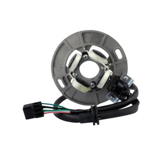 Spare parts and accessories MAGNETI MARELLI | Amotorbike.com