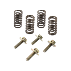 Clutch Springs And Screws Minarelli Am6 Clutch Springs RMS