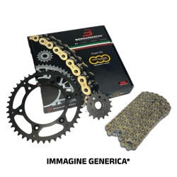 Kit SUZUKIDR250 L,M,N,P Off Road 90-93 for SUZUKI Dr250 L nd and other model Sprockets JT