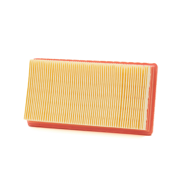 Filtro Aria Champion CAF9000 Filtri Aria Champion