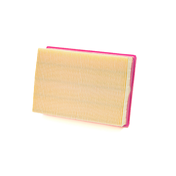 Filtro Aria Champion CAF9009 Air Filters Champion